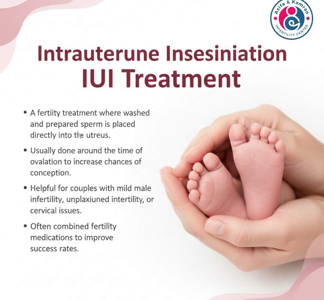 WhatsApp Image 2025-12-28 at 11.26.40 AM