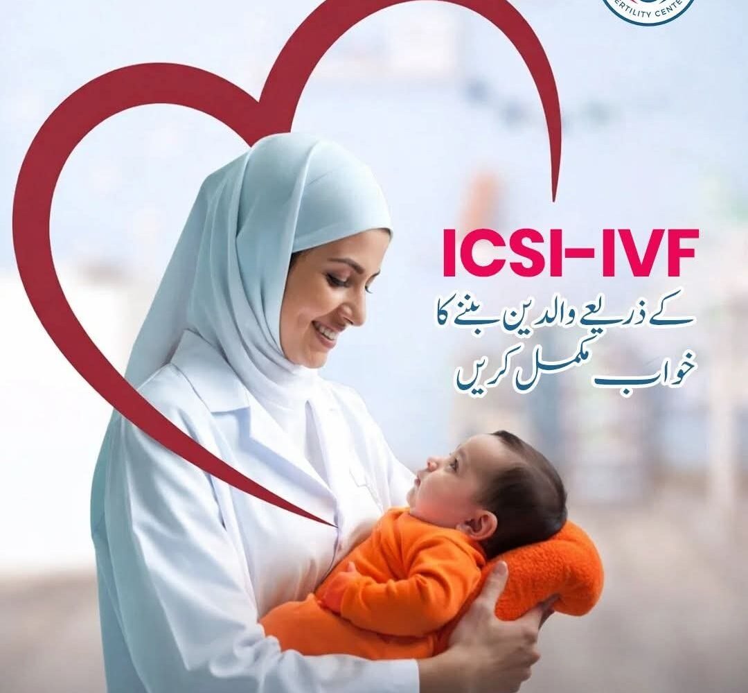 WhatsApp Image 2025-12-24 at 11.14.03 PM (1)