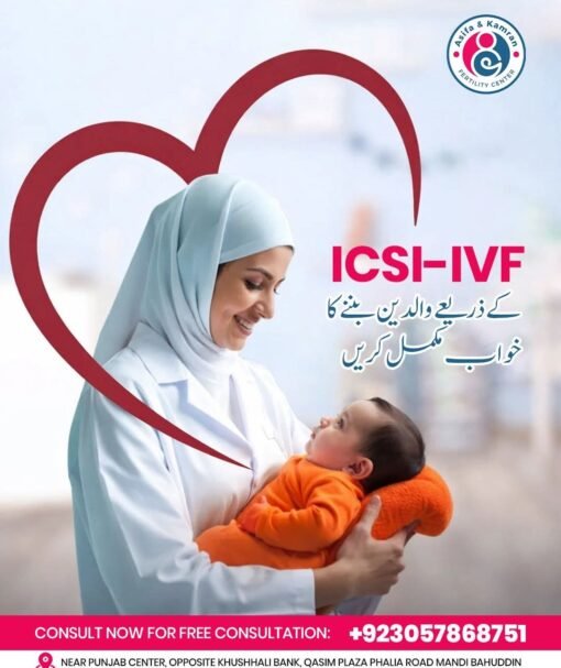 WhatsApp Image 2025-12-24 at 11.14.03 PM (1)