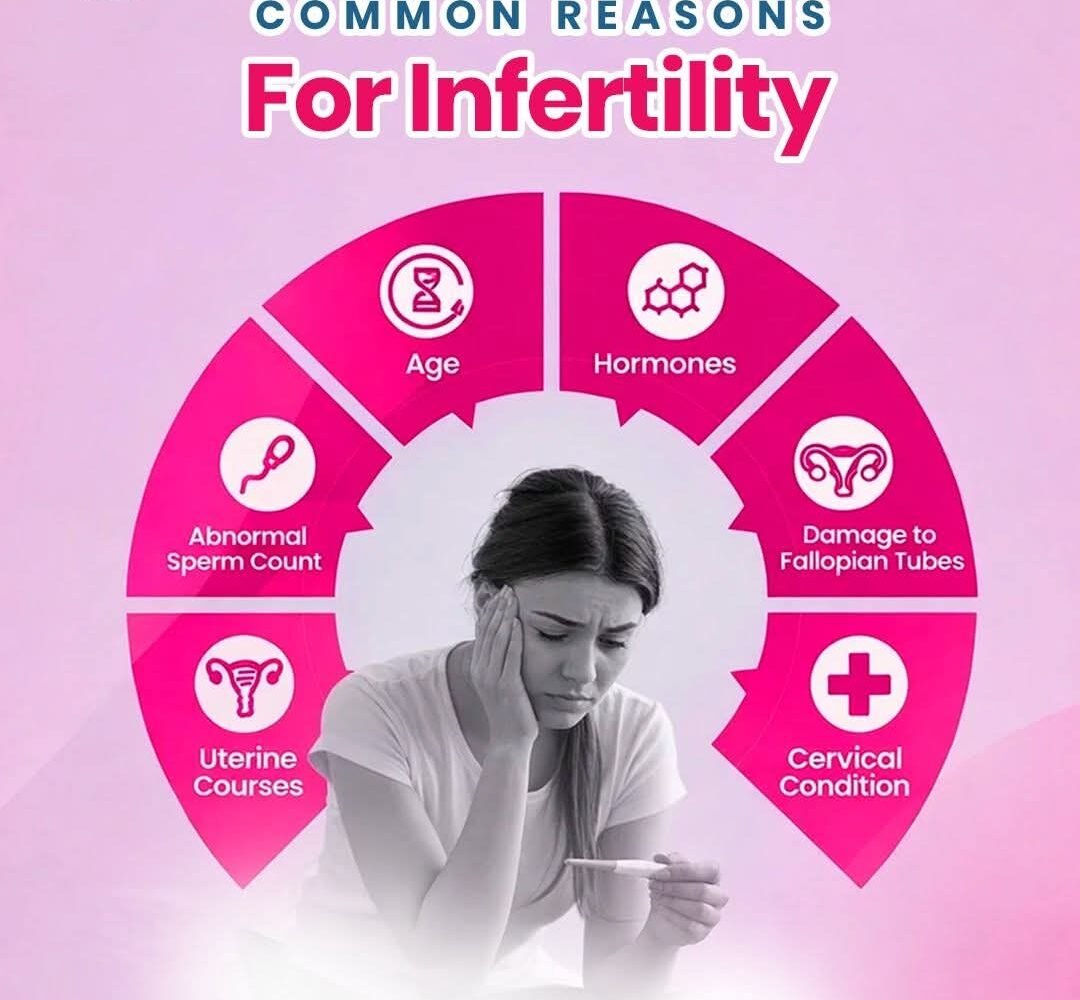 WhatsApp Image 2025-12-24 at 11.14.03 PM