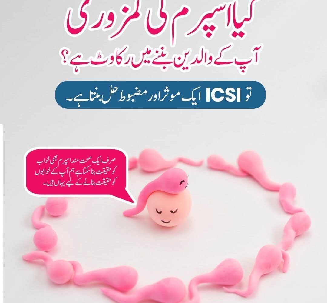 WhatsApp Image 2025-12-24 at 11.14.03 PM (8)