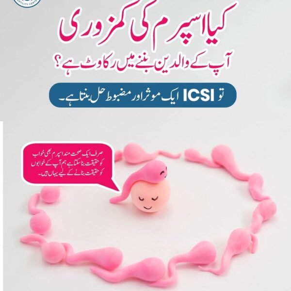 WhatsApp Image 2025-12-24 at 11.14.03 PM (8)