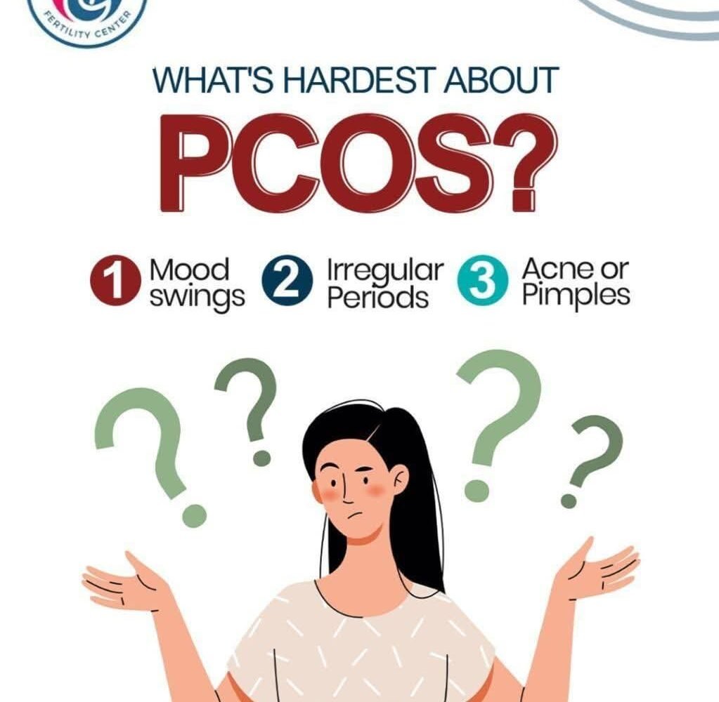 WhatsApp Image 2025-12-25 at 2.54.14 PM